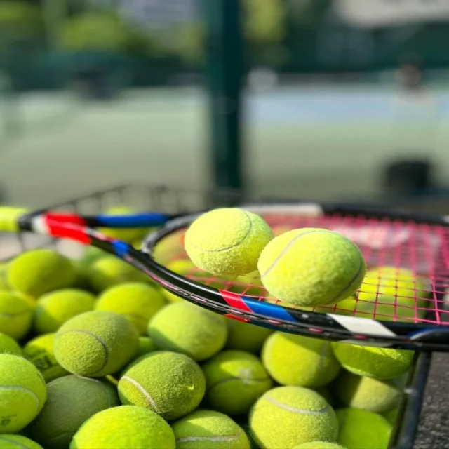 imp_174546a5e2fd407f.jpg | TianXingSports